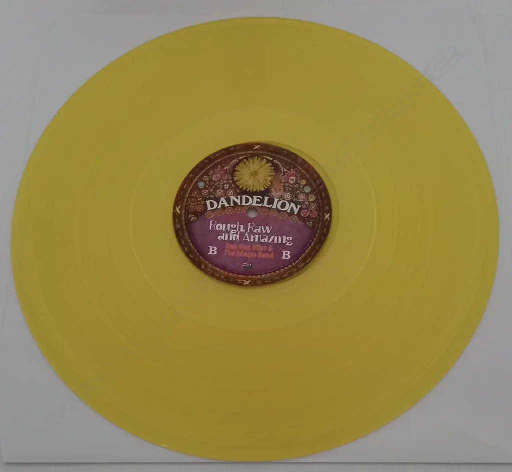 Captain Beefheart - Don Van Vliet And The Magic Band, Rough, Raw And Amazing (Live At Leicester De Montfort Hall 1972) (Double album, yellow vinyl) Image 1++